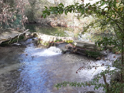 Restauration des deux seuils sur l’ouvrage de Monclar et création de passes à poissons