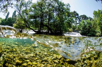 Réunion publique pour la révision du Plan Pluriannuel de Gestion de la Végétation du lit et des berges des Sorgues