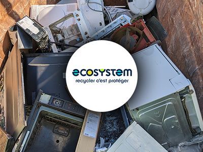 Zoom sur Ecosystem, l’éco-organisme qui recycle vos déchets électriques et électroniques ! 