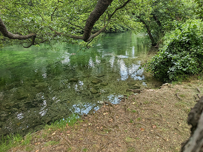 Isle-sur-la-Sorgue : un piège à déchets installé dans la rivière