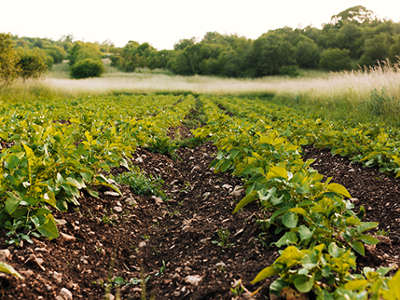 Le programme des Rencontres sur les pratiques durables en Agriculture pour nos exploitants agricoles